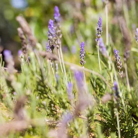 Appartement La Hacienda Grande