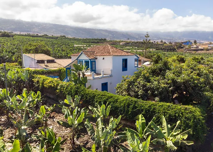 La Hacienda Grande Appartement