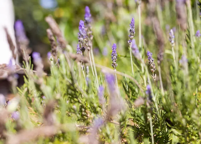 Διαμέρισμα La Hacienda Grande